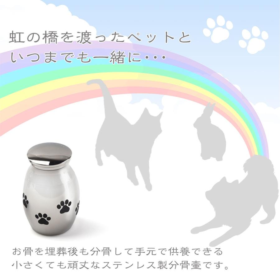 完成品 ペット仏具 遺骨 カプセル ミニ骨壷 小 選べる 骨壷 骨つぼ ペット用 ミニサイズ シルバー ステンレス Materialworldblog Com