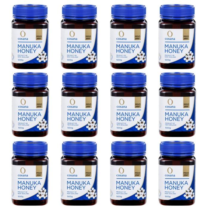 マヌカハニー MGO250+ 500g 12個セット cosana コサナ
