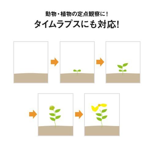 防犯カメラ 屋外 トレイルカメラ 害獣対策 赤外線センサーカメラ 500万画素 監視カメラ CMS-SC01GY サンワサプライ_15