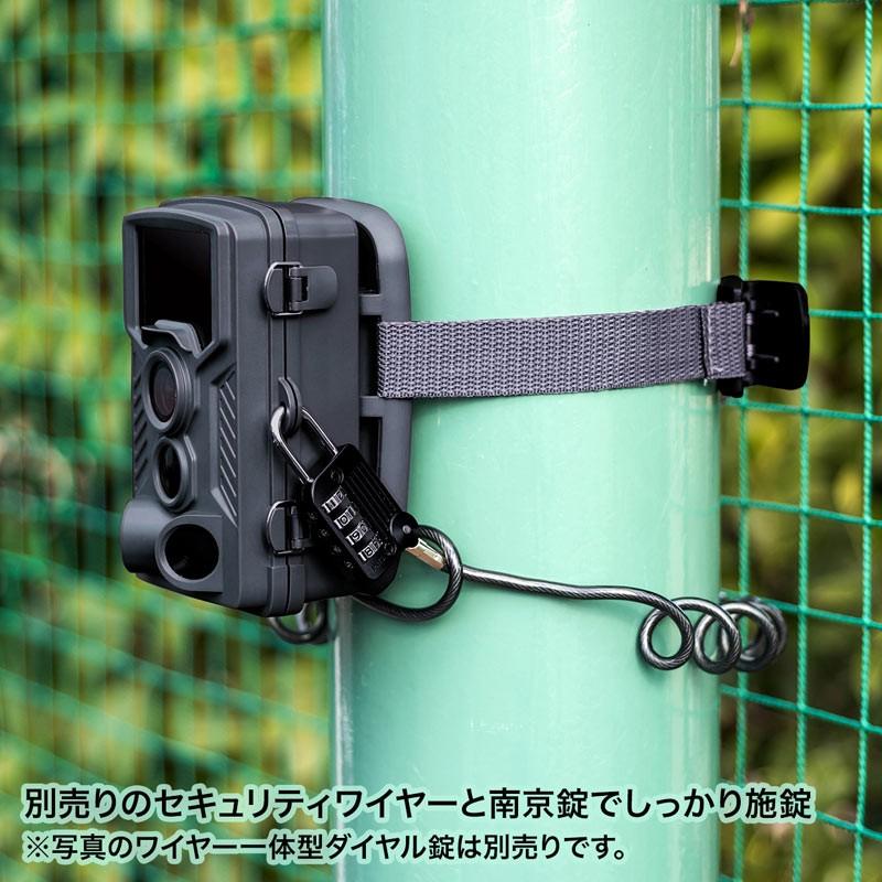 SANWA SUPPLY（サンワサプライ） 防犯カメラ 屋外 トレイルカメラ 害獣