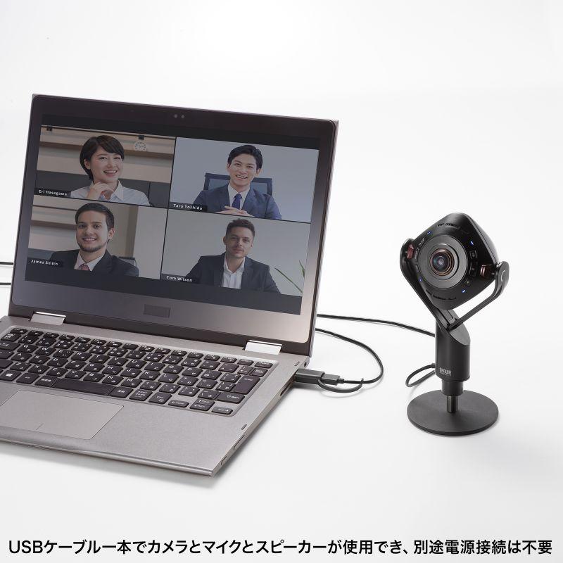 SANWA SUPPLY（サンワサプライ） Webカメラ マイクつき スピーカー内蔵