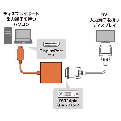 訳あり新品 DisplayPort-DVI変換アダプタ 箱にキズ、汚れあり AD-DPDVA01 サンワサプライ｜esupply｜03