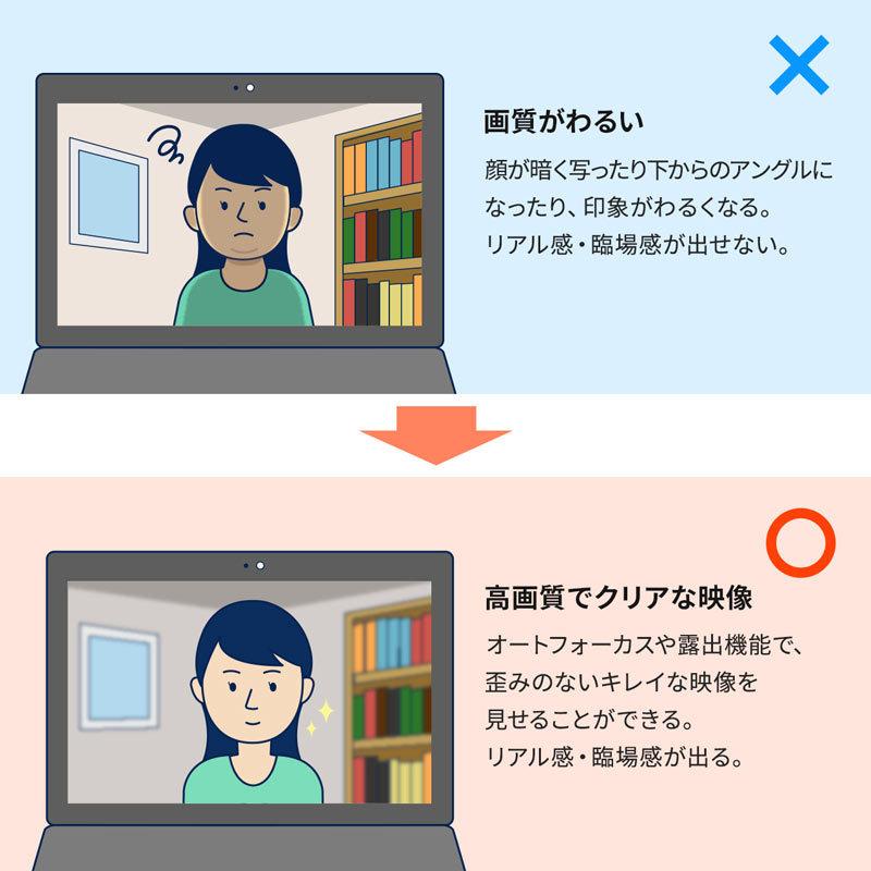 訳あり新品 USB-HDMIカメラアダプタ USB2.0 キャプチャーアダプタ WEBカメラ化 Zoom Skype USB-CVHDUVC2 サンワサプライ 外装 にキズ、汚れありの画像