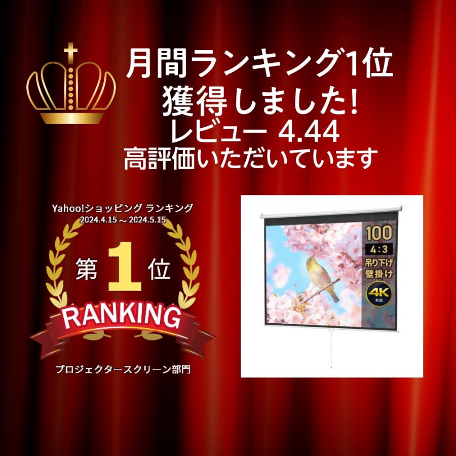 イーサプライ プロジェクタースクリーン 吊り下げ 100インチ イーサプライ プロジェクタースクリーン 吊り下げ 100インチ