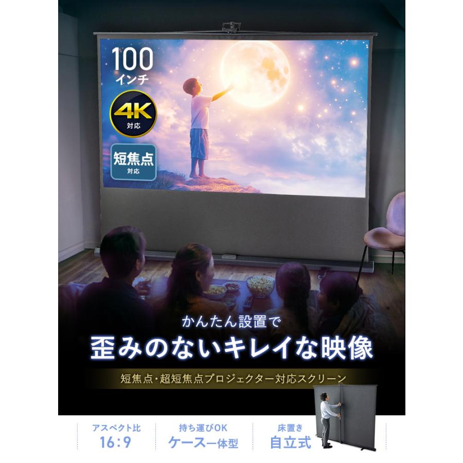 イーサプライ（e-supply） 超短焦点対応 プロジェクタースクリーン 100
