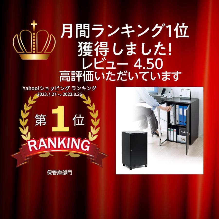 送料込 証明書付 ゴッホ イーブイ Sサイズ 黒枠付き 鍵付きボックス（防犯・セキュリティ・小型・金庫・スチール