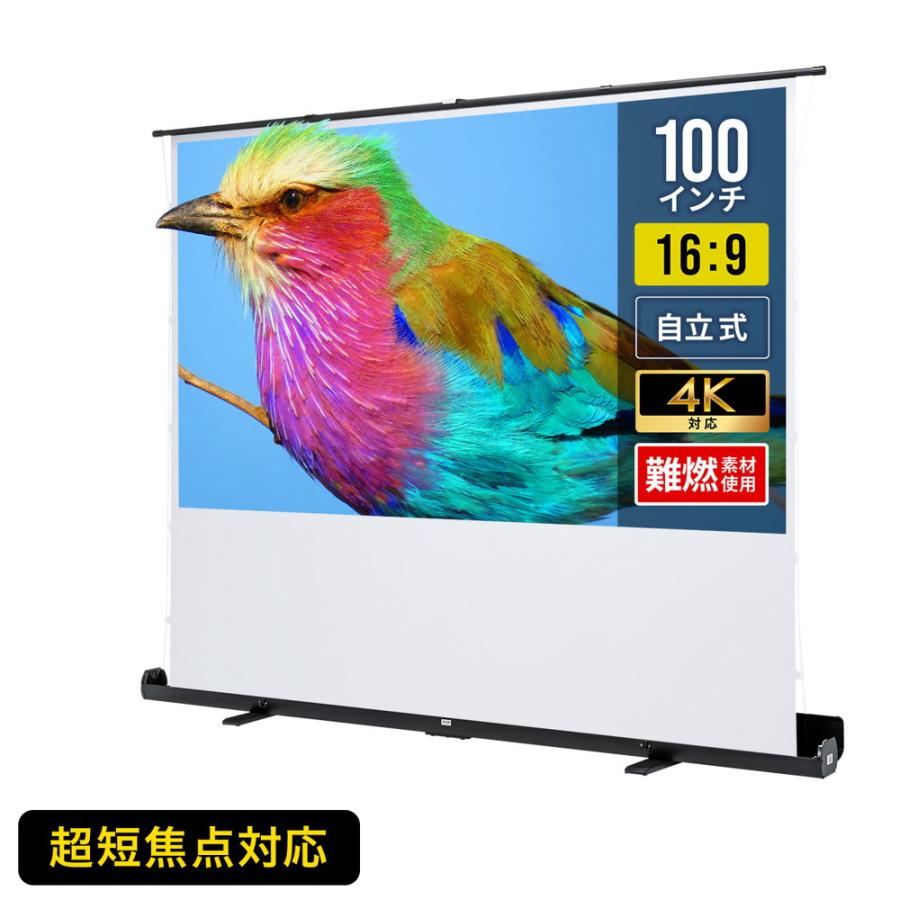 SANWA SUPPLY（サンワサプライ） プロジェクタースクリーン 100インチ