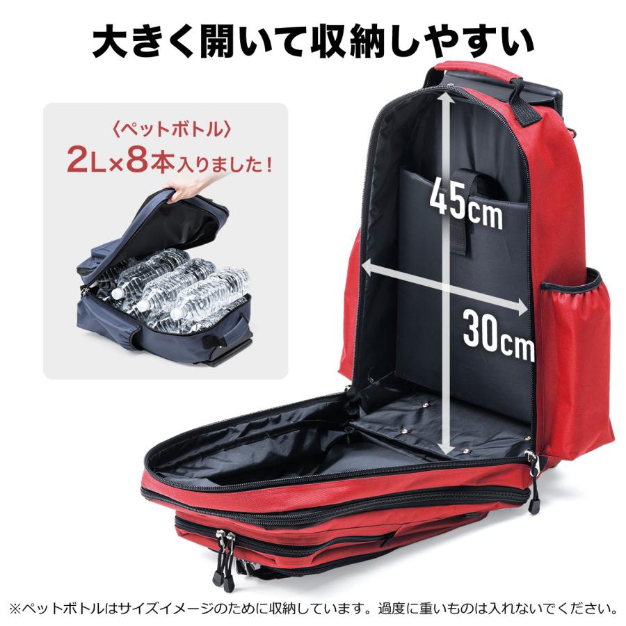 SANWA SUPPLY（サンワサプライ） ソフトキャリー バッグ 軽量 機内