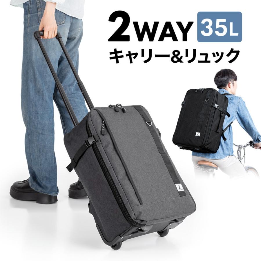 【タグ付 未使用 】ACE 2way AVALLON キャリーバッグ リュック SANWA SUPPLY（サンワサプライ） キャリーリュック ソフトキャリー