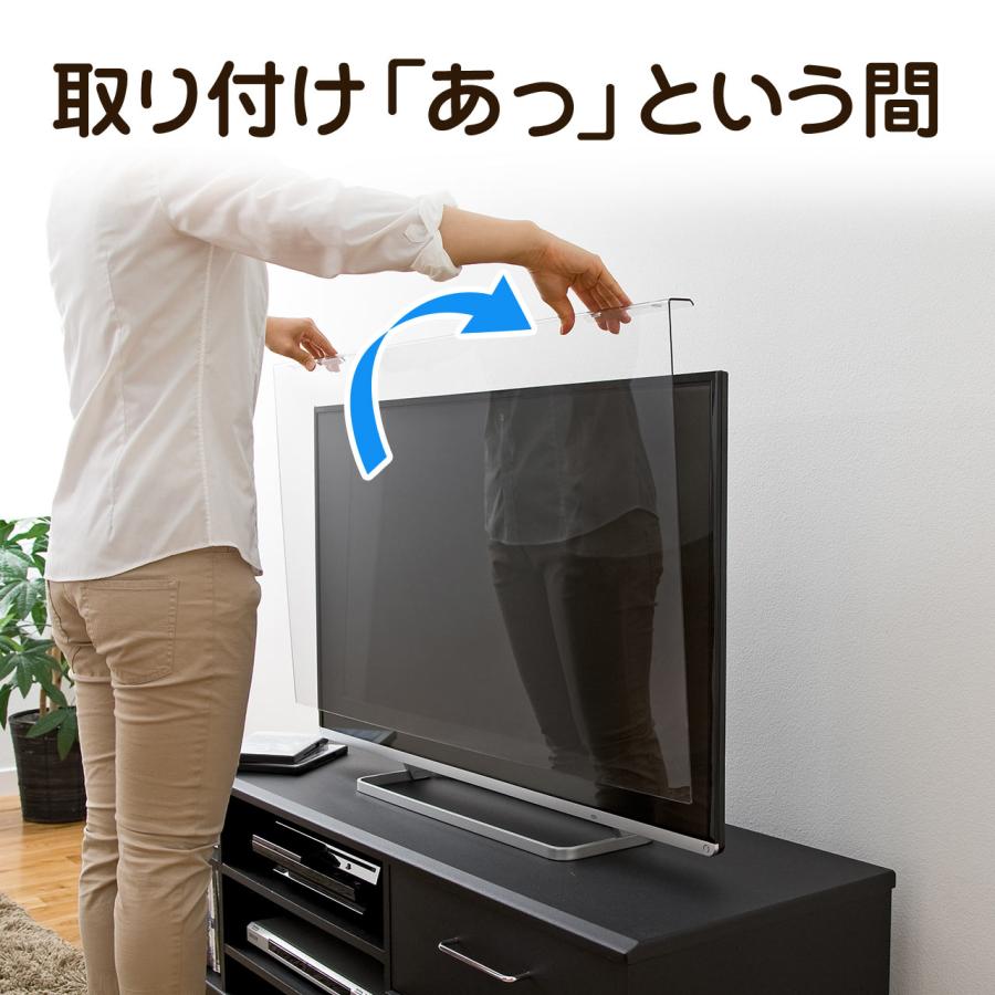 SANWA SUPPLY（サンワサプライ） テレビ保護パネル 48インチ対応 49