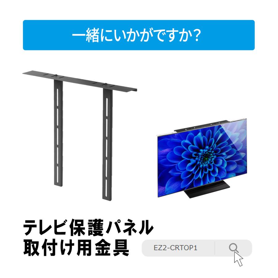 SANWA SUPPLY テレビ保護パネル 65インチ対応 液晶テレビ TV SANWA SUPPLY テレビ保護パネル 65インチ対応 液晶テレビ TV