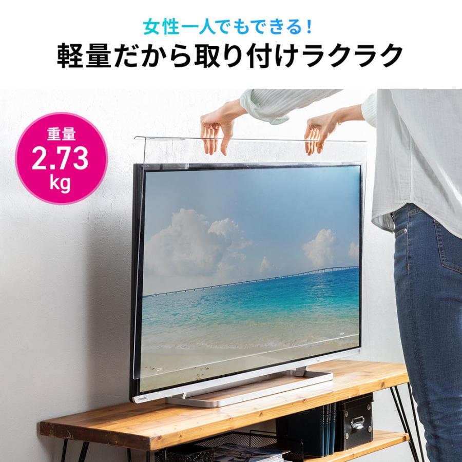 SANWA SUPPLY（サンワサプライ） テレビ保護パネル テレビフィルター
