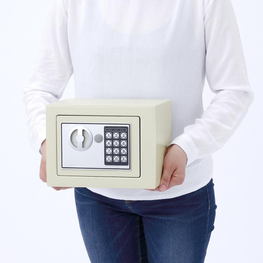 SANWA SUPPLY（サンワサプライ） 小型電子金庫 家庭用 電子テンキー