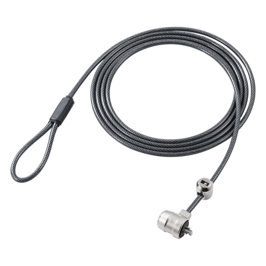 SANWA SUPPLY（サンワサプライ） セキュリティワイヤー 2m 盗難防止 鍵