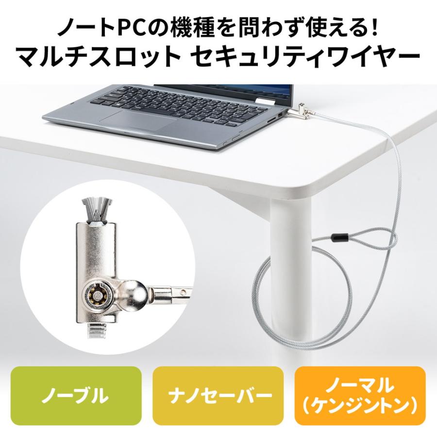 SANWA SUPPLY（サンワサプライ） セキュリティワイヤー マルチスロット