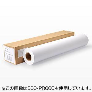 プロッター用紙　ロール紙　フォト光沢紙　44インチロール　大判インクジェットプリンタ用　受注発注　プロッター対応　EZ3-PR012　1118mm×30m　代引き不可