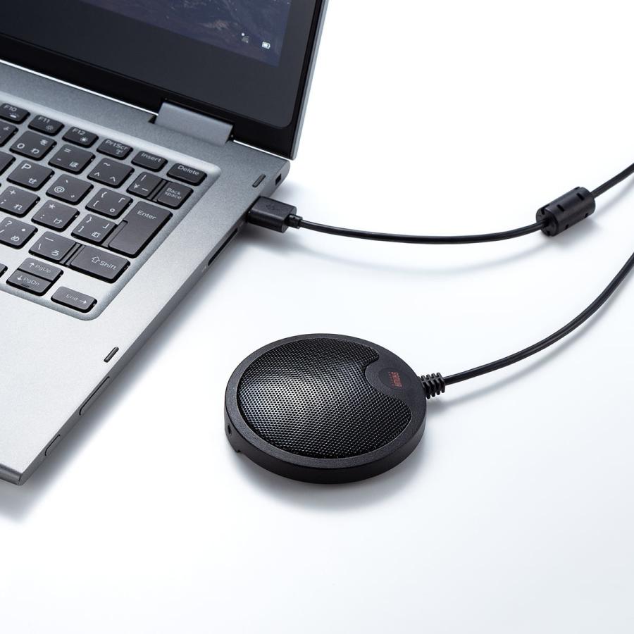 SANWA SUPPLY（サンワサプライ） WEB会議マイク USB接続 薄型 Skype