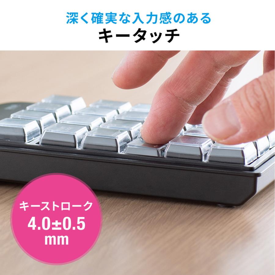 SANWA SUPPLY（サンワサプライ） プログラマブルテンキー