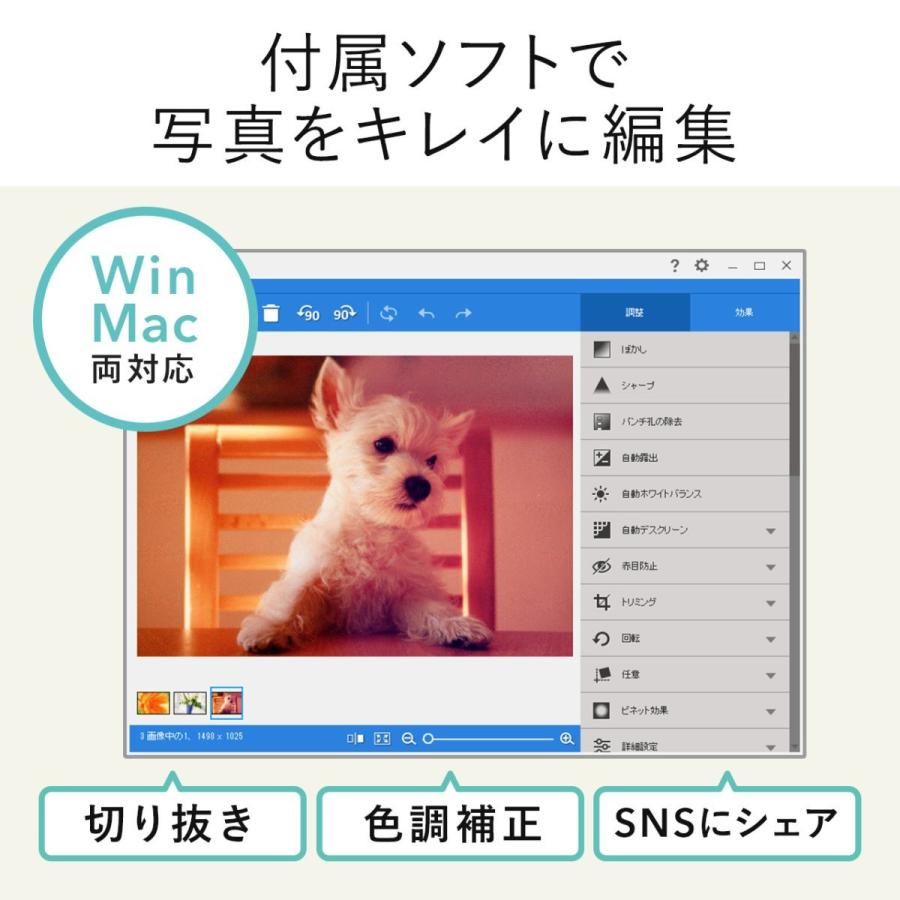 自動読み取りフォトスキャナー 高速 CCDセンサー 写真データ化 A4対応 300dpi Windows/Mac対応 EZ4-SCN039｜esupply｜05