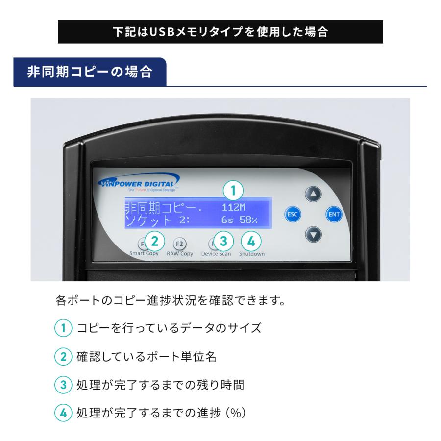 SANWA SUPPLY（サンワサプライ） デュプリケーター SD/microSDカード用