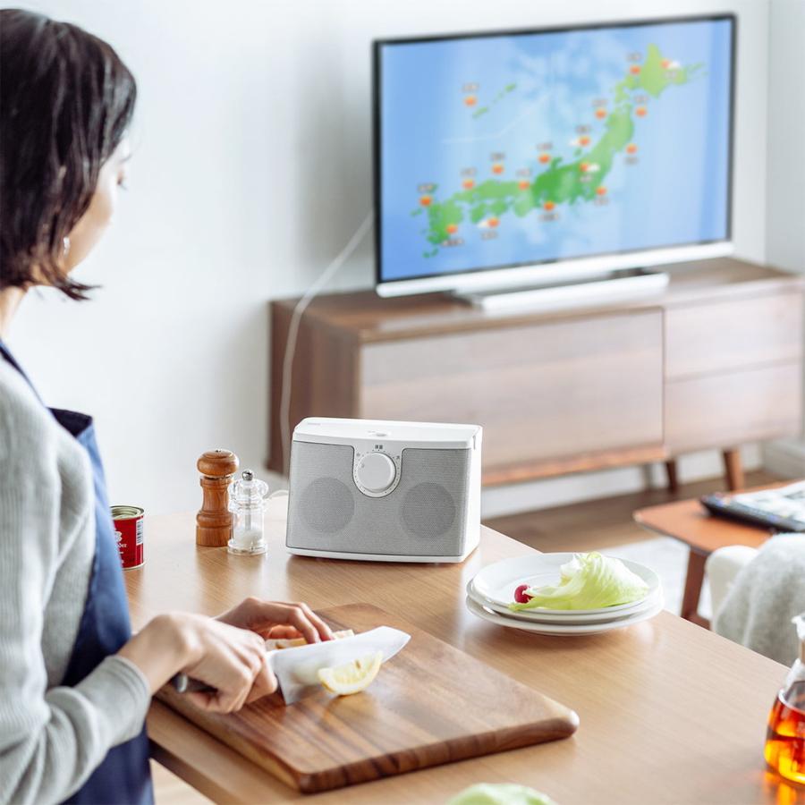 SANWA SUPPLY（サンワサプライ） 在庫限り テレビスピーカー 手元