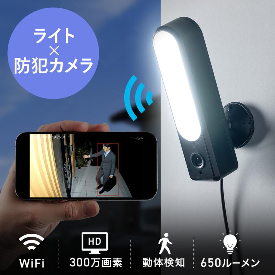 SANWA SUPPLY（サンワサプライ） 防犯カメラ ネットワークカメラ 屋外