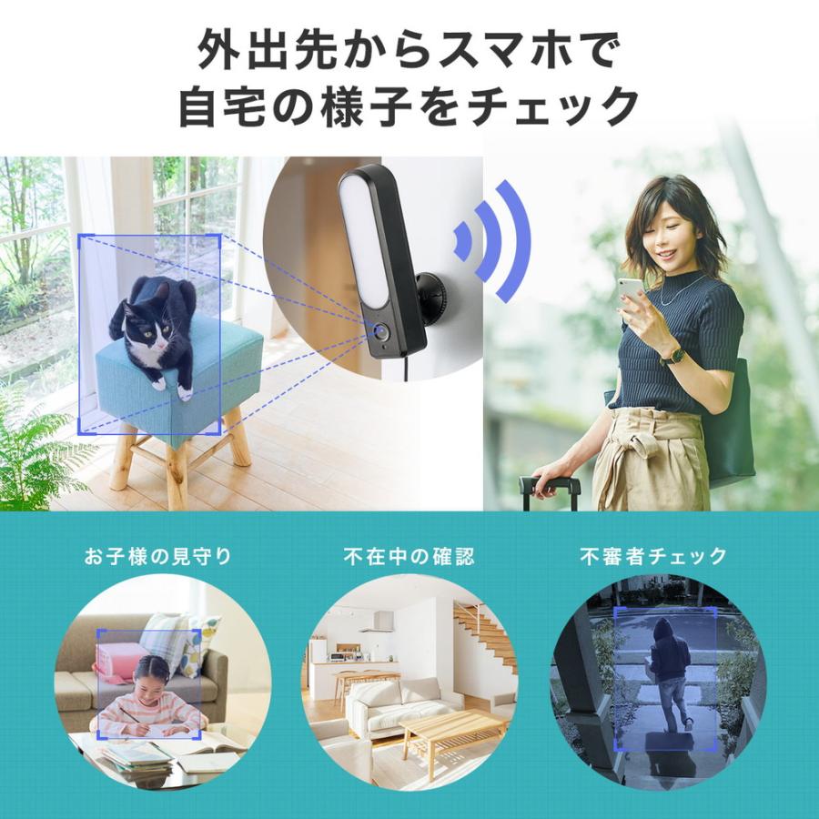 SANWA SUPPLY（サンワサプライ） 防犯カメラ ネットワークカメラ 屋外