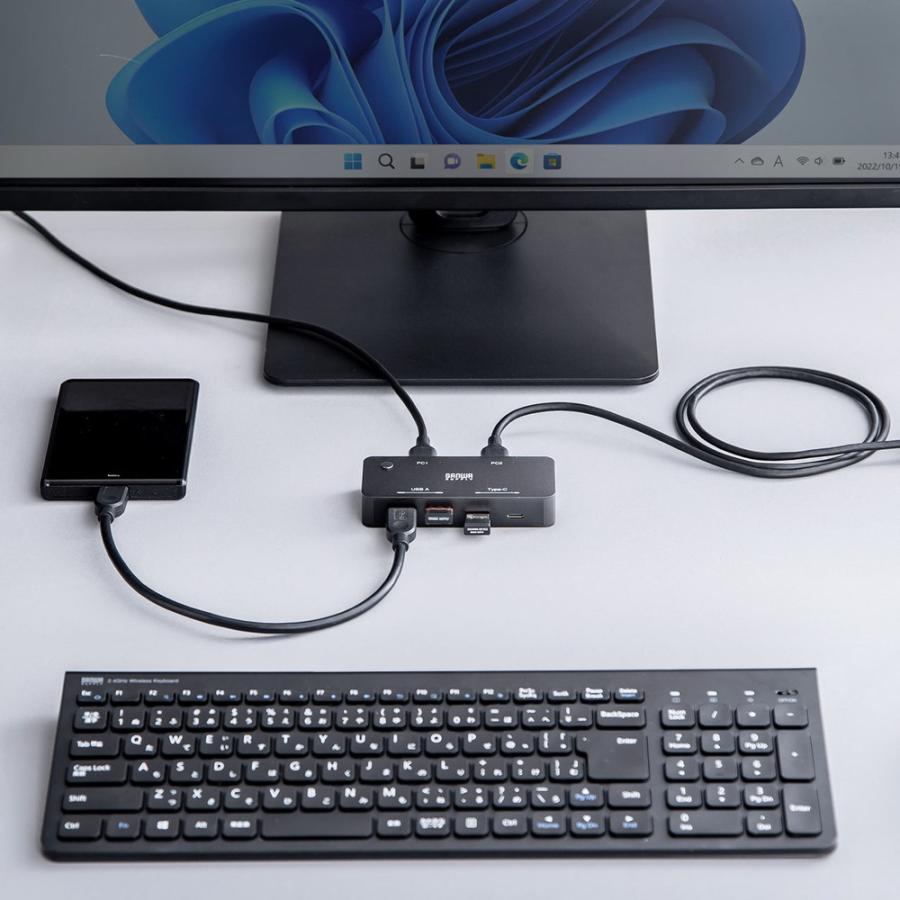 SANWA SUPPLY（サンワサプライ） USB切替器 2系統4ポート USB A/Type C