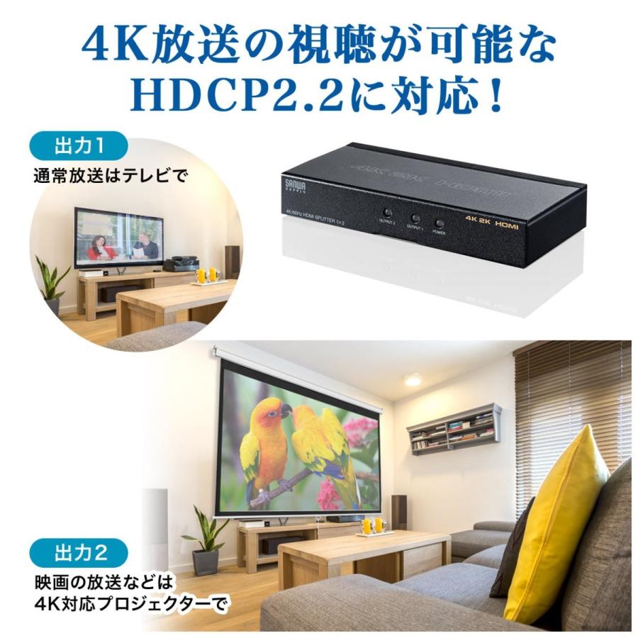 SANWA SUPPLY（サンワサプライ） HDMI分配器 1入力 2出力 4K/60Hz HDR