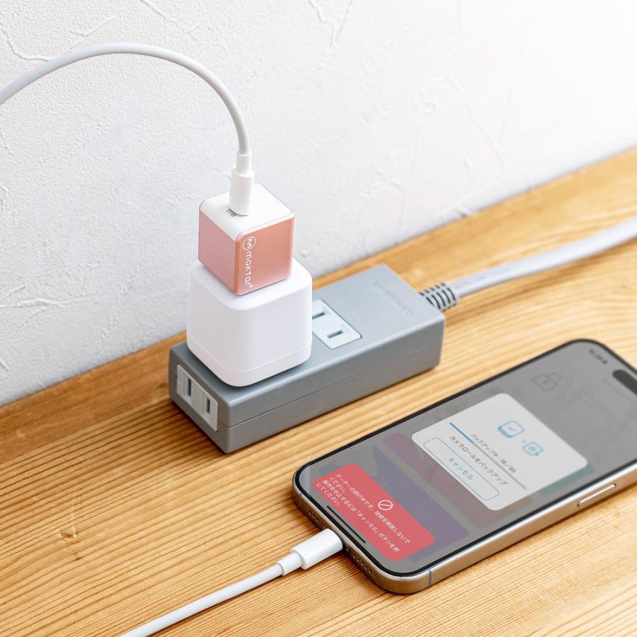 EX 1TB Type-C接続 メモリ内蔵タイプ PD60W 高速充電 iOS Android 自動バックアップ iPad iPhone15対応 【felica】 ローズゴールド EZ6-IPLBC1TP