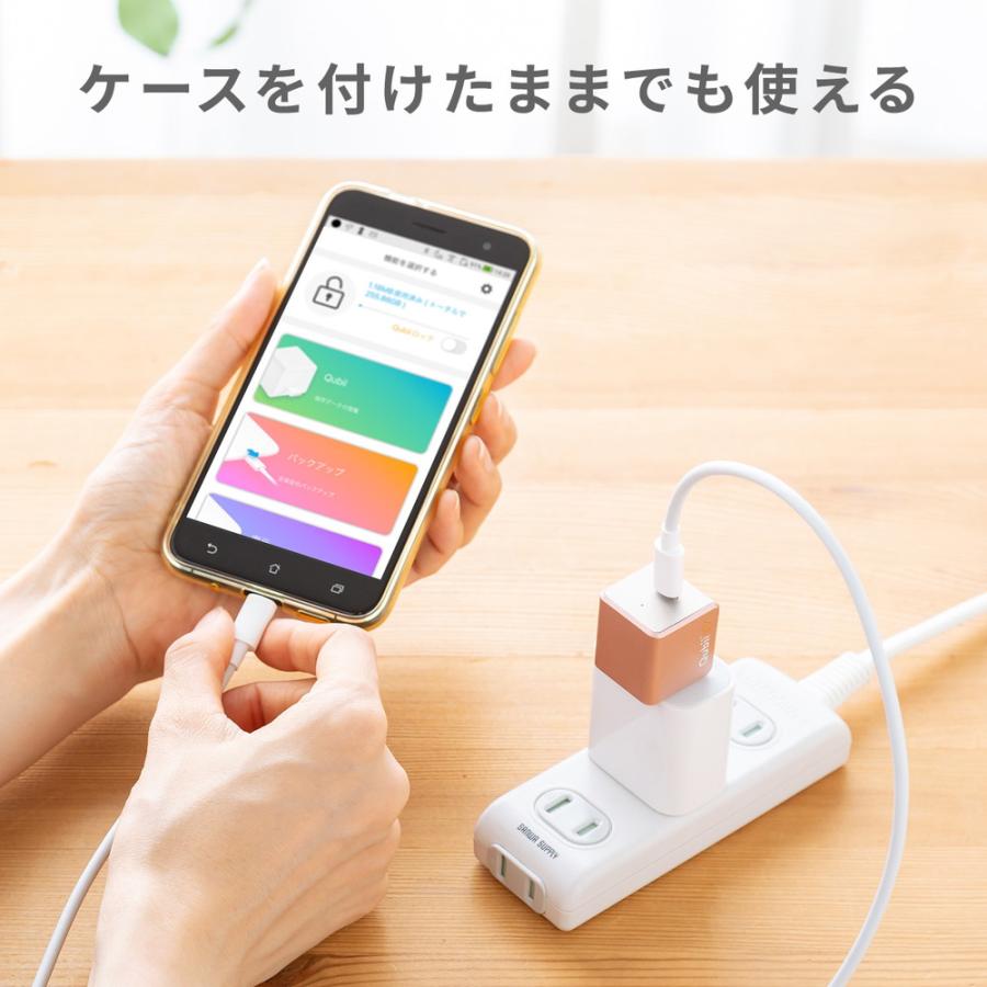 Qubii EX 1TB Type-C接続 メモリ内蔵タイプ PD60W 高速充電 iOS Android 自動バックアップ iPad iPhone15対応 ブルー EZ6-IPLBC1TV｜esupply｜14