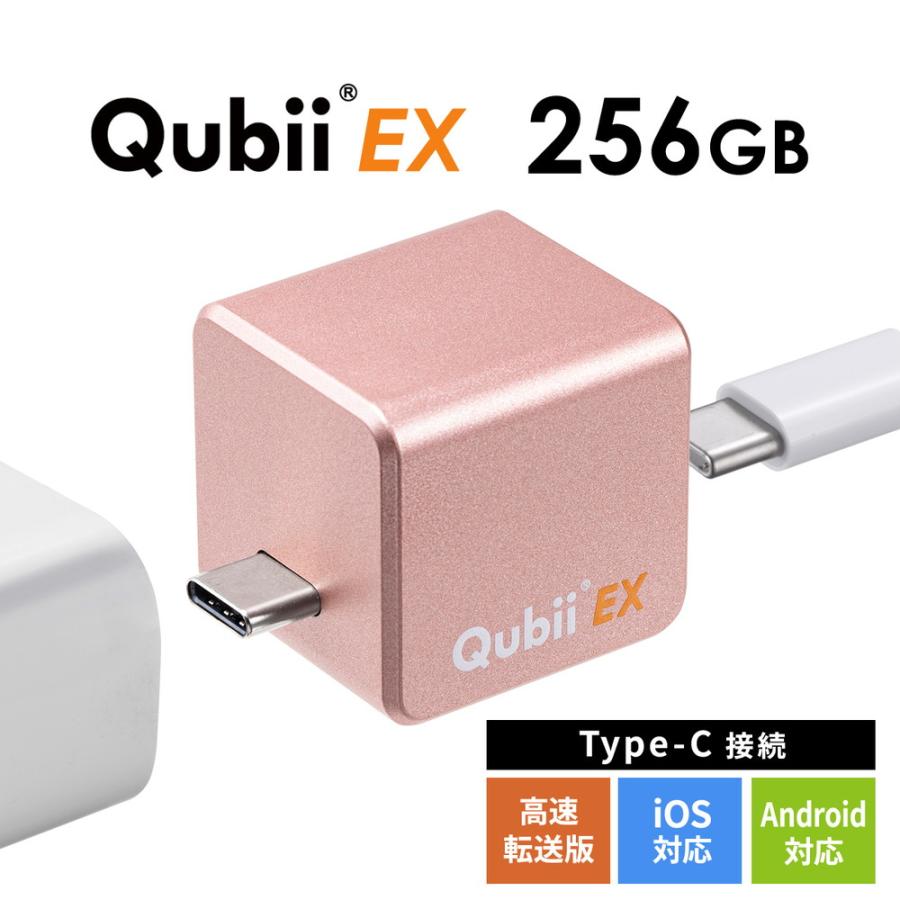 SANWA SUPPLY（サンワサプライ） Qubii EX 256GB Type-C接続 メモリ