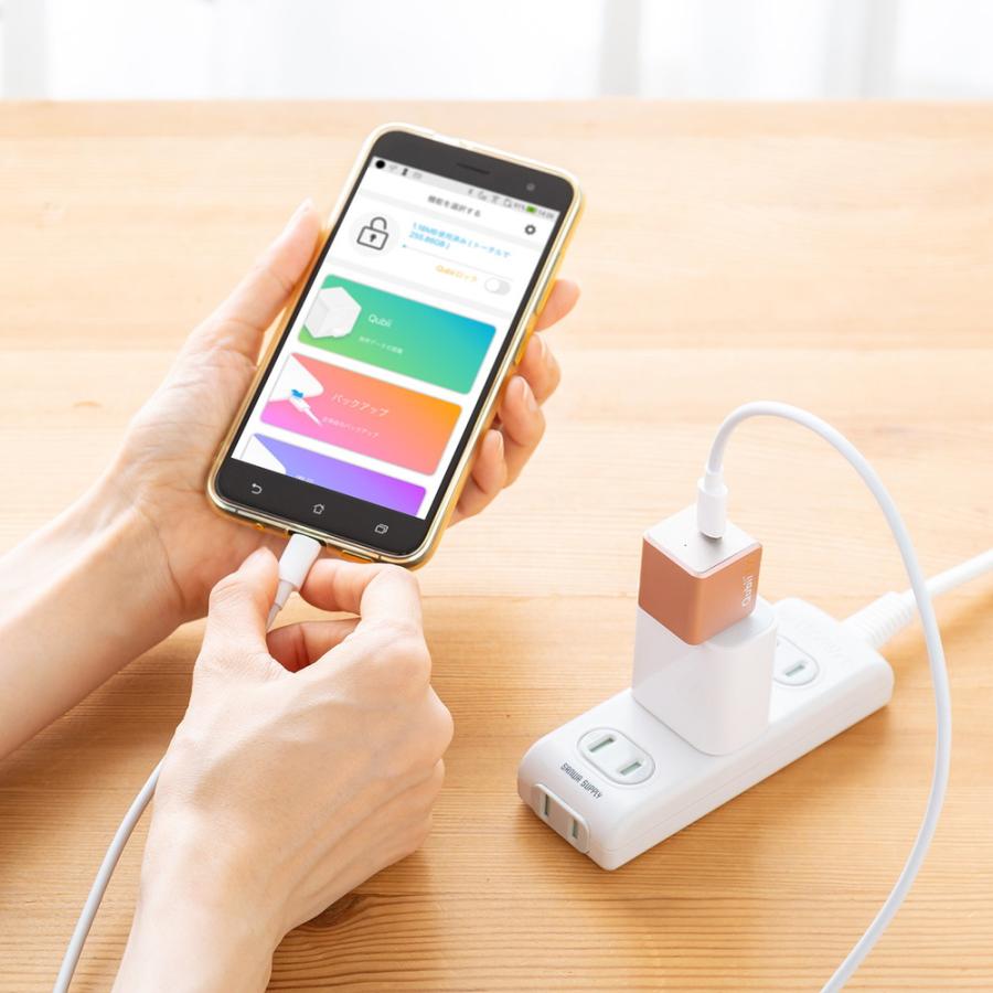 Qubii EX 512GB Type-C接続 メモリ内蔵タイプ PD60W 高速充電 iOS Android 自動バックアップ iPad iPhone15対応 ローズゴールド EZ6-IPLBC512GP ネコポス対応_18