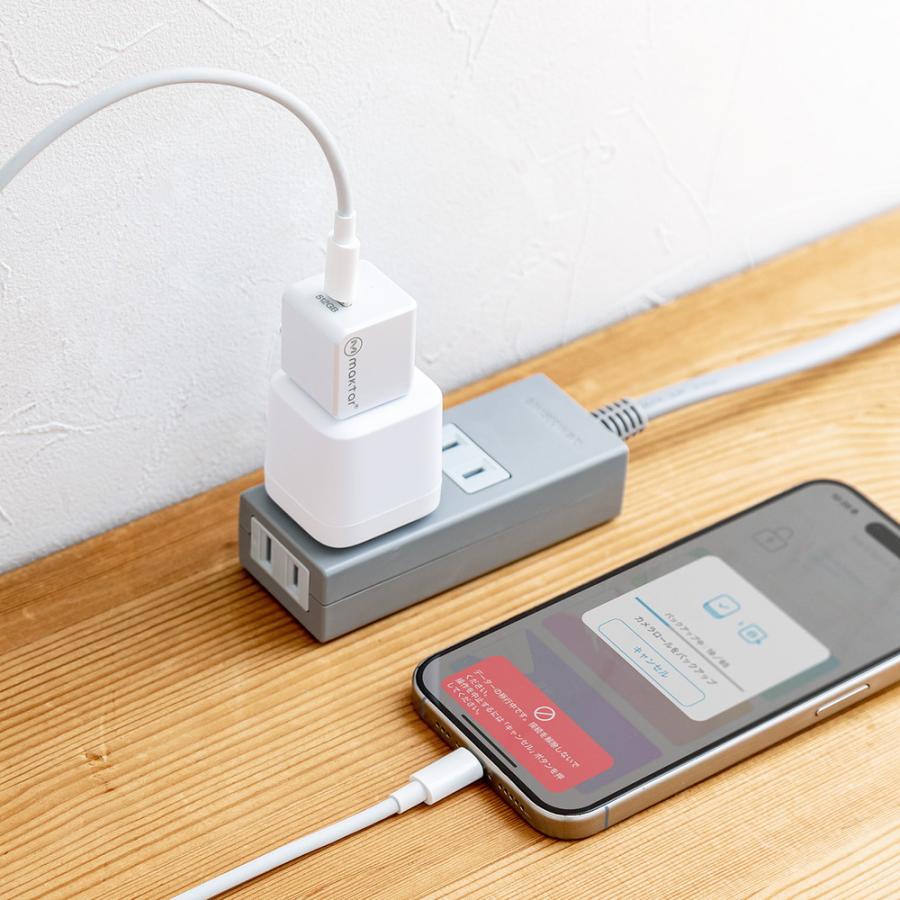 Qubii EX 512GB Type-C接続 メモリ内蔵タイプ PD60W 高速充電 iOS Android 自動バックアップ iPad iPhone15対応 ホワイト EZ6-IPLBC512GW ネコポス対応_17