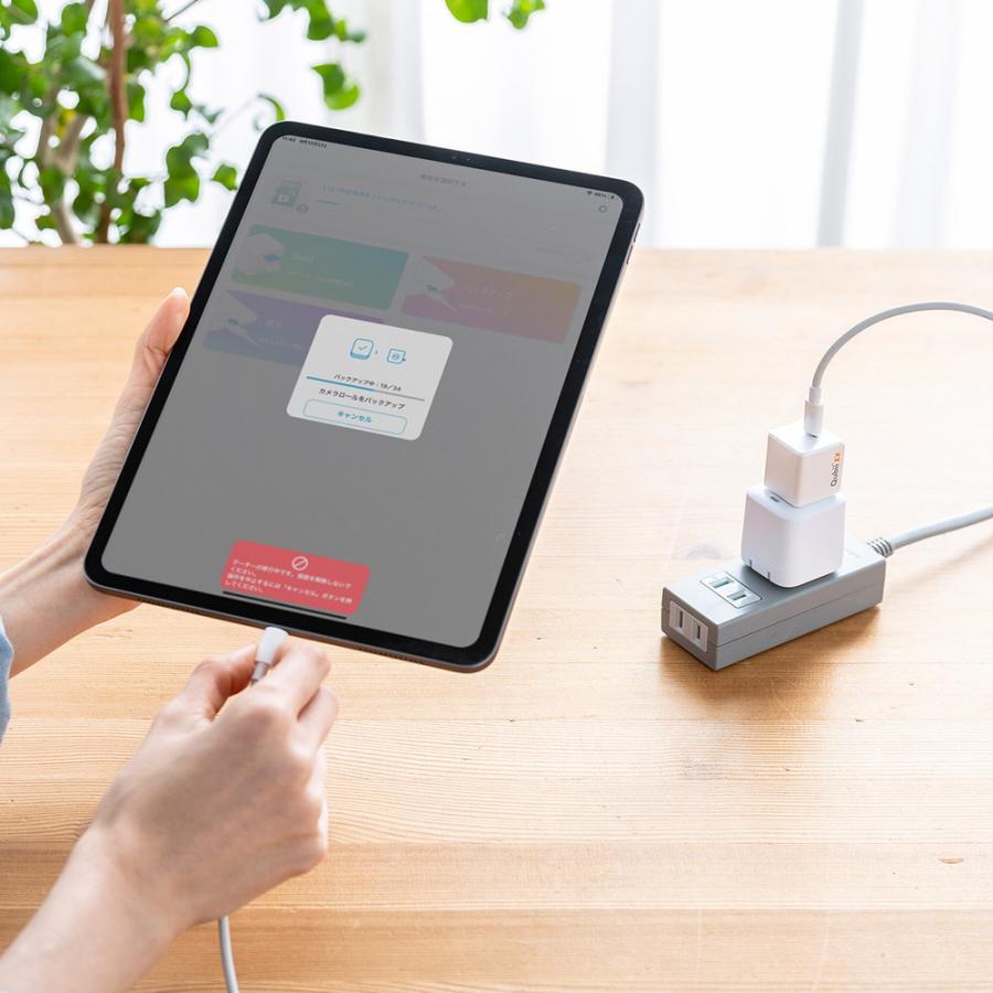 Qubii EX 512GB Type-C接続 メモリ内蔵タイプ PD60W 高速充電 iOS Android 自動バックアップ iPad iPhone15対応 ホワイト EZ6-IPLBC512GW ネコポス対応_18