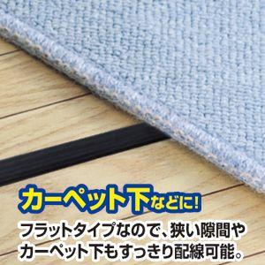 SANWA SUPPLY（サンワサプライ） フラットHDMIケーブル 10m ブラック
