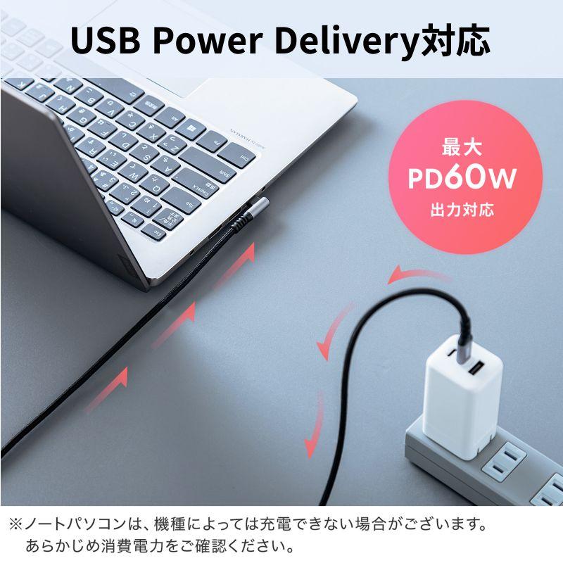 SANWA SUPPLY（サンワサプライ） 在庫限り USB 2.0 Type-Cケーブル C-C