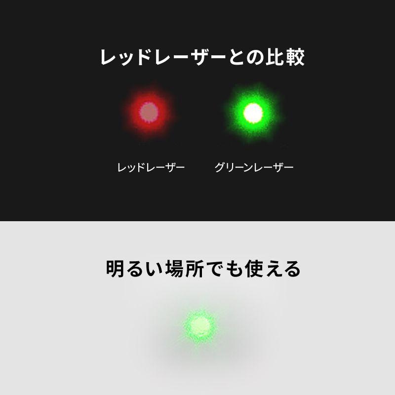 SANWA SUPPLY（サンワサプライ） レーザーポインター 緑 USB充電式