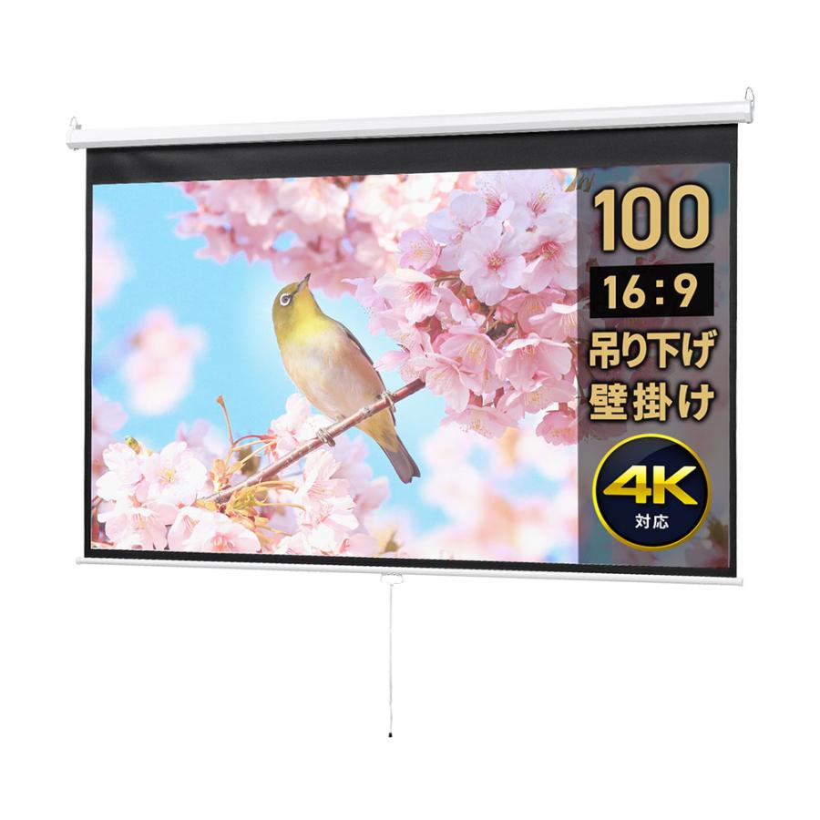 イーサプライ（e-supply） プロジェクタースクリーン 100インチ 吊り