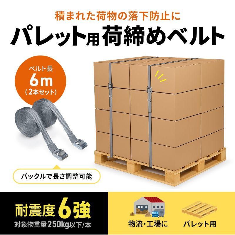 荷締めベルト ラッシングベルト 落下防止ベルト 6m×2本入り リンテック21製 QL-E103 サンワサプライ | SANWA SUPPLY | 01