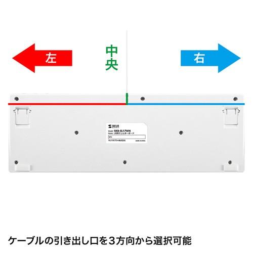 USBスリムキーボード フルキーボード 有線 USB接続 コンパクト テンキー付 パンタグラフ ホワイト SKB-SL17WN サンワサプライ｜esupply｜08