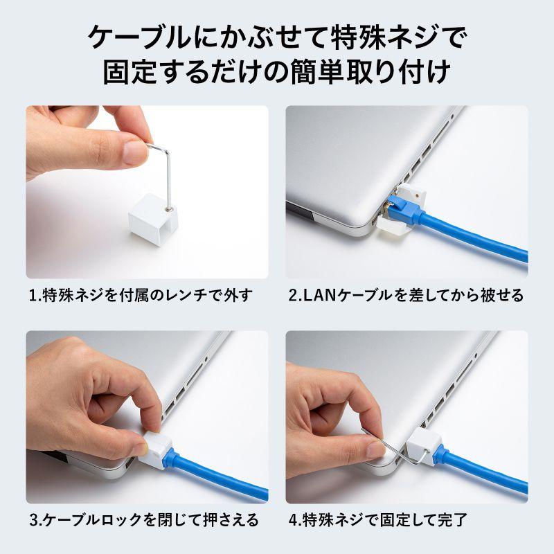 SANWA SUPPLY（サンワサプライ） LANケーブルロック 特殊レンチタイプ