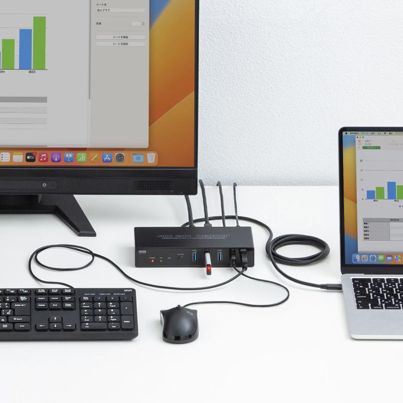 SANWA SUPPLY（サンワサプライ） パソコン切替器 USBタイプC接続 HDMI