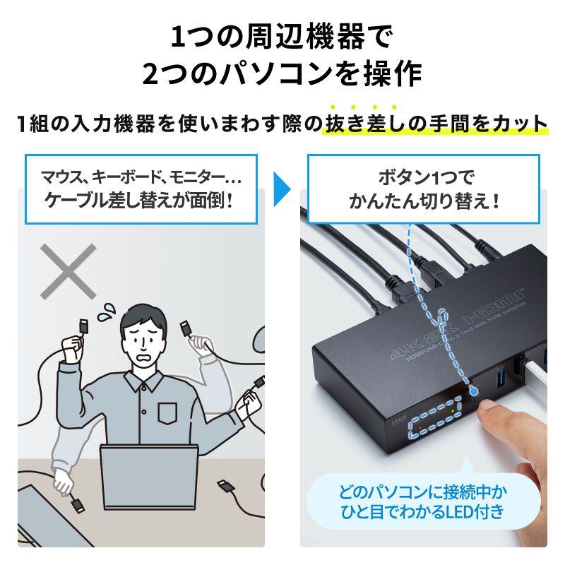 SANWA SUPPLY（サンワサプライ） パソコン切替器 USBタイプC接続 HDMI
