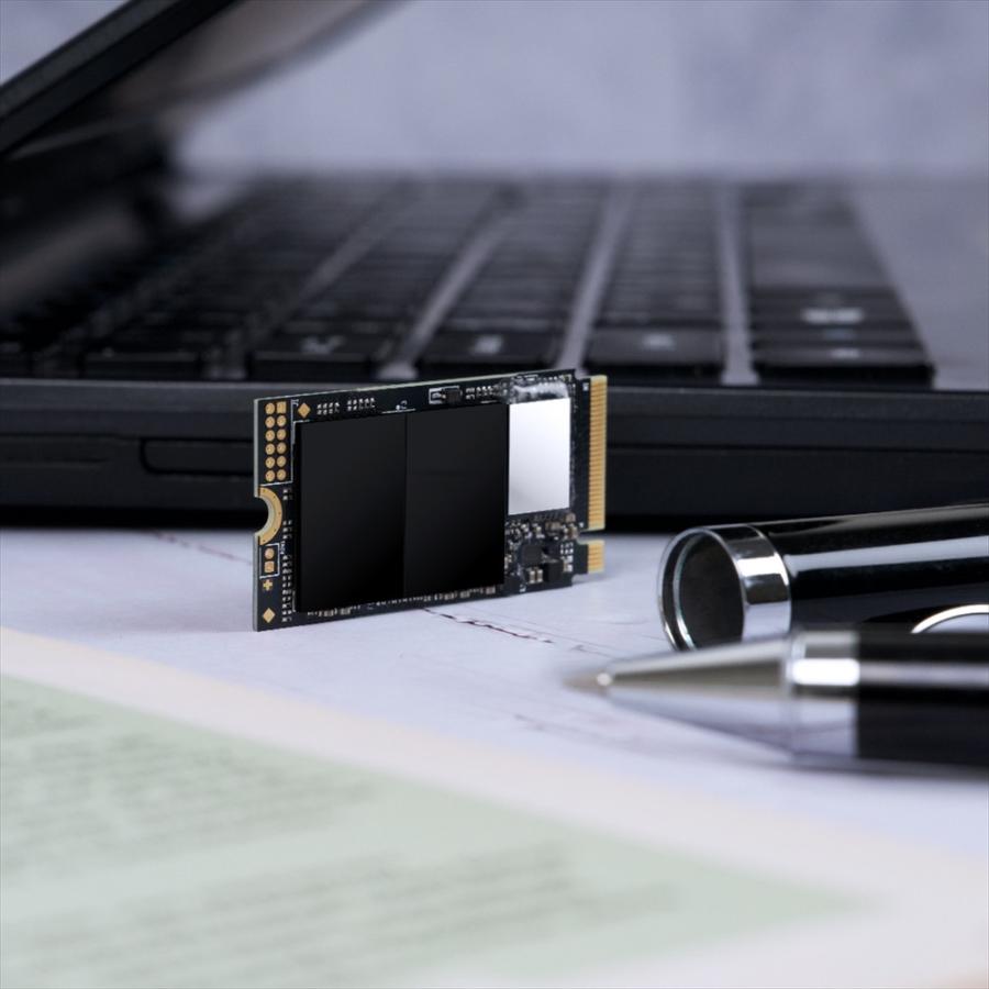 Transcend（トランセンド） SSD M.2 1TB NVMe PCIe Gen4×4 Type 2242