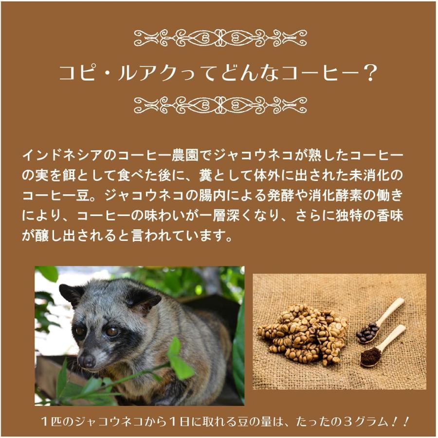 レギュラーコーヒー 豆 コピ ルアク Kopi Luwak 50g インドネシア産 幻のコーヒー B07bhg4mbx エスショップ2号店 通販 Yahoo ショッピング