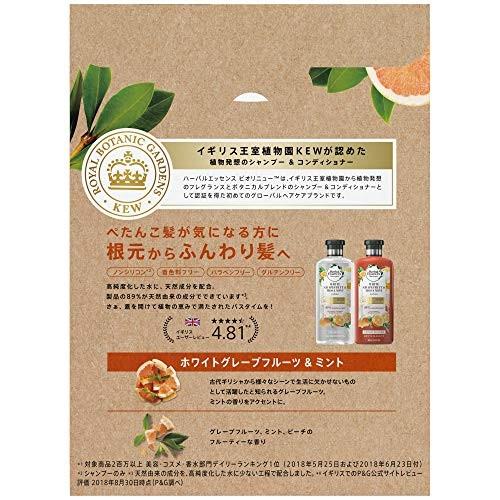 ハーバルエッセンス ビオリニュー ホワイトグレープフルーツ ミント ポンプ シャンプー コンディショナー 400ml 400g B03nypgr エスショップ2号店 通販 Yahoo ショッピング