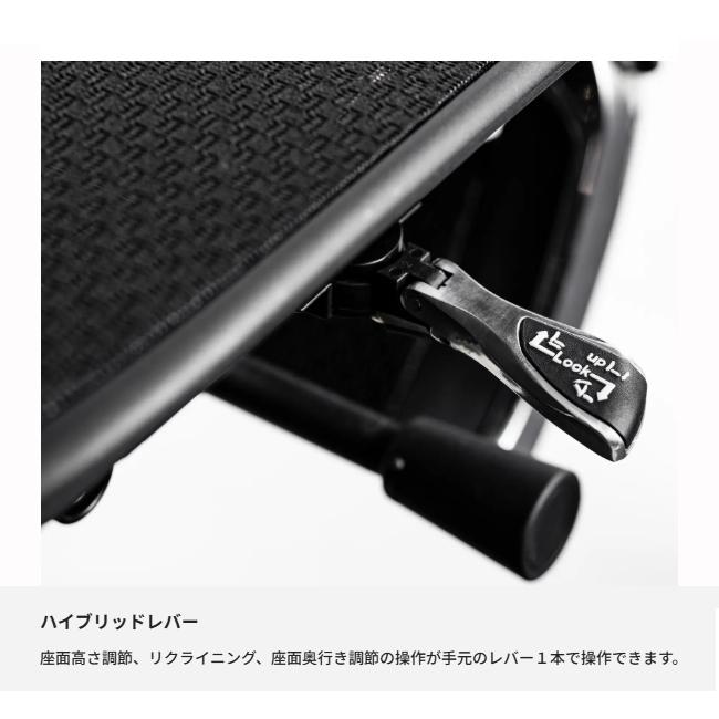 【即納 / 正規店】 エルゴヒューマン プロ2 ハイタイプ EHP2-HAM-DR Pro 新型 パーソナルチェア デスクチェア 【名入れステッカー対応】