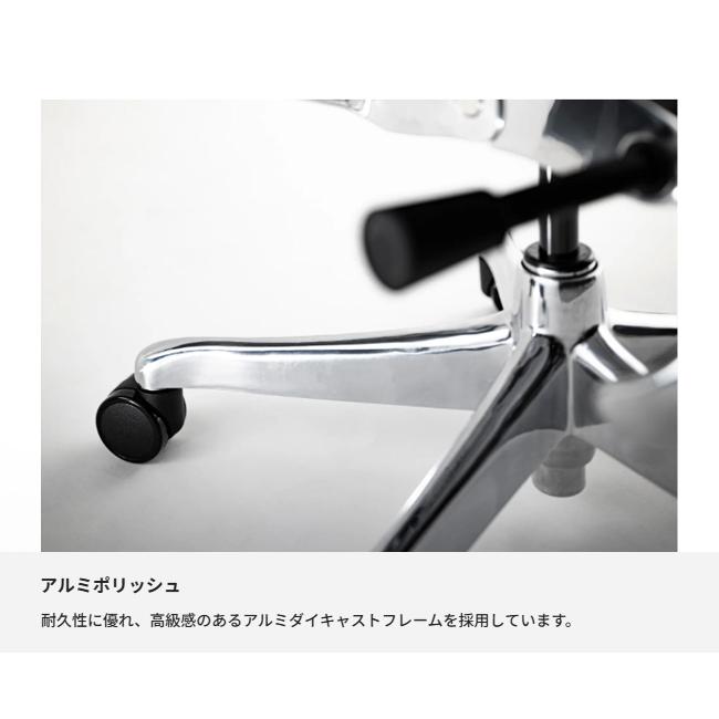 【即納 / 正規店】 エルゴヒューマン プロ2 ハイタイプ EHP2-HAM-DR Pro 新型 パーソナルチェア デスクチェア 【名入れステッカー対応】