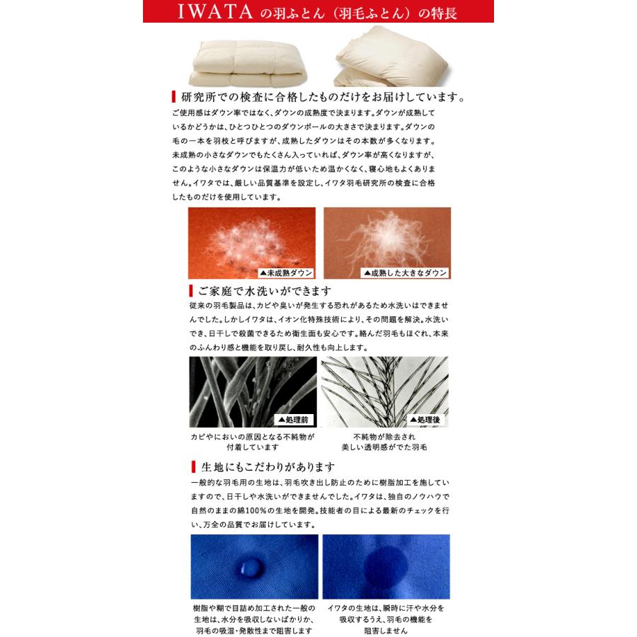 イワタ 羽ふとん 羽毛ふとん SDL グレートナチュラルグース ダウン95%セミダブル 掛け寝具 ふとん 日干し 水洗い ベッド 羽毛布団 IWATAの画像